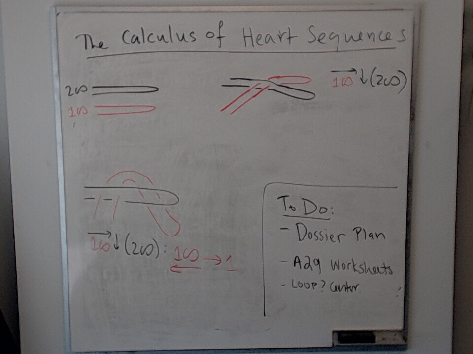 The Calculus of Heart Sequences: Passing a Loop Through and Returning It A photo of a whiteboard titled: The Calculus of Heart Sequences: Passing a Loop Through and Returning It