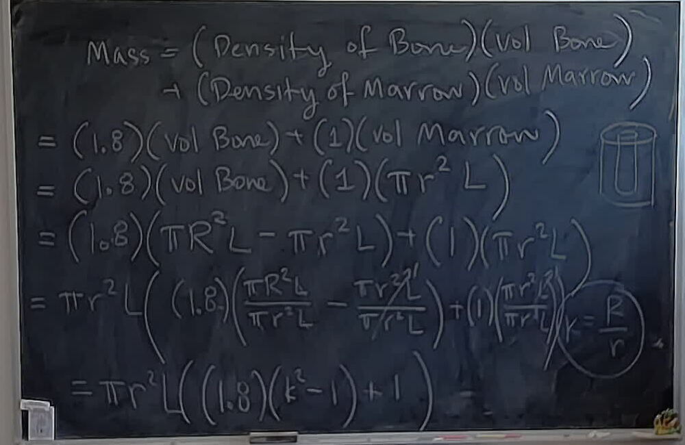 Bone Marrow Formula A photo of a whiteboard titled: Bone Marrow Formula