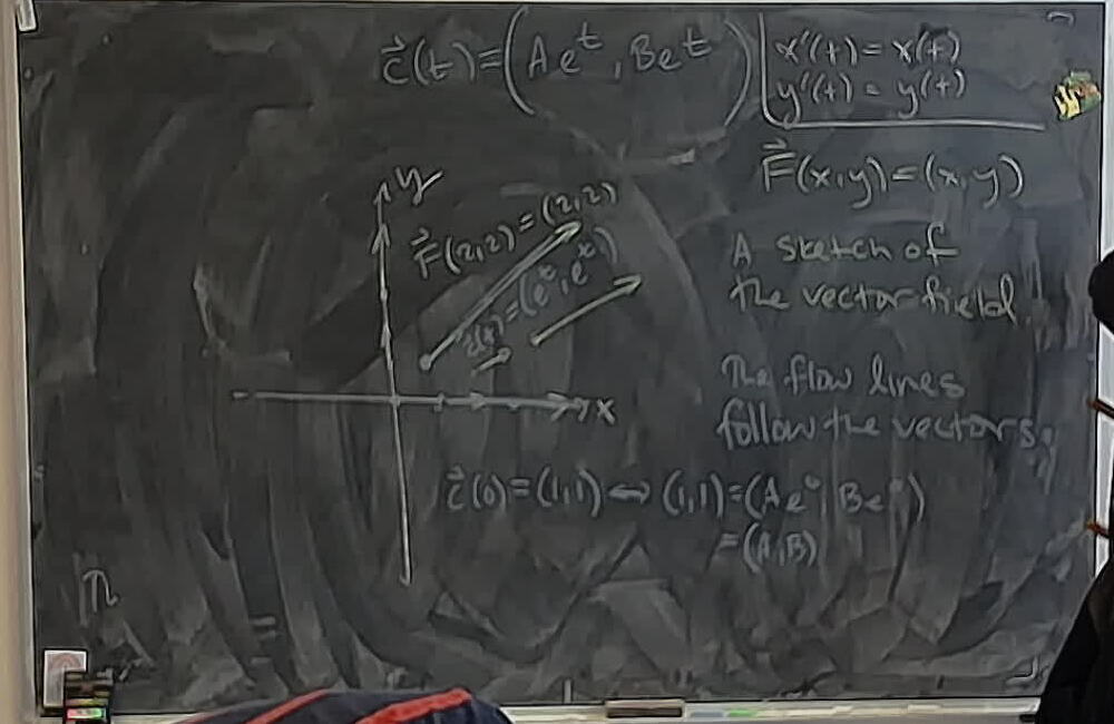 Flow Lines of F(x,y)=(x,y) A photo of a whiteboard titled: Flow Lines of F(x,y)=(x,y)