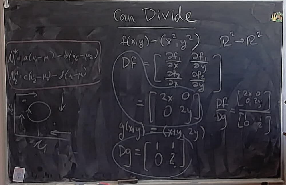 Dividing Derivatives of Multivariate Functions: Can Divide A photo of a whiteboard titled: Dividing Derivatives of Multivariate Functions: Can Divide