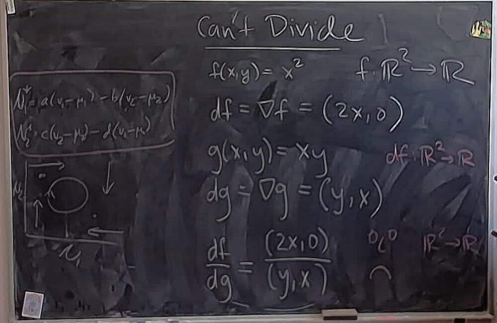 Dividing Derivatives of Multivariate Functions: Cannot Divide A photo of a whiteboard titled: Dividing Derivatives of Multivariate Functions: Cannot Divide